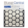 Blueair Central 2025 Replacement Filter 2-pack - 20 X 25 X 1